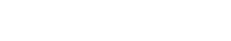 Logo Virtual Minds