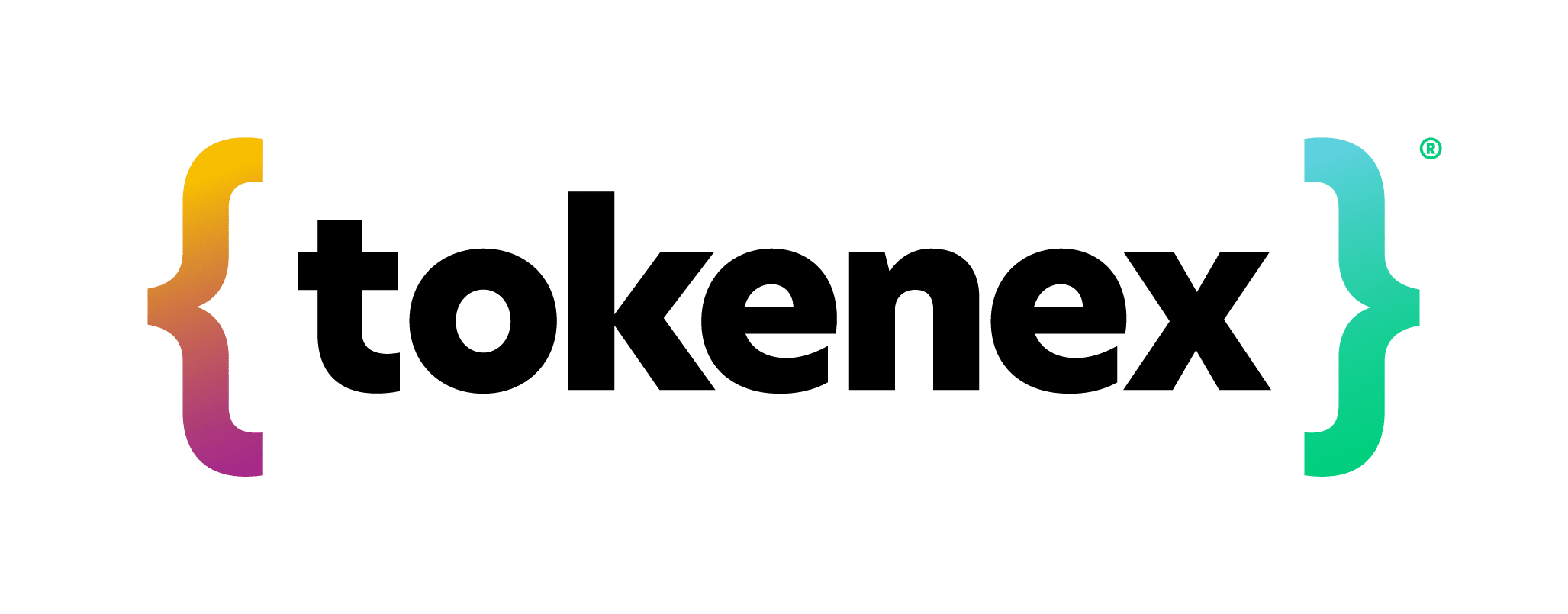 Logo TokenEx