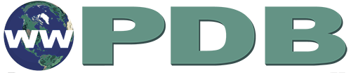 Logo Rcsb Pdb