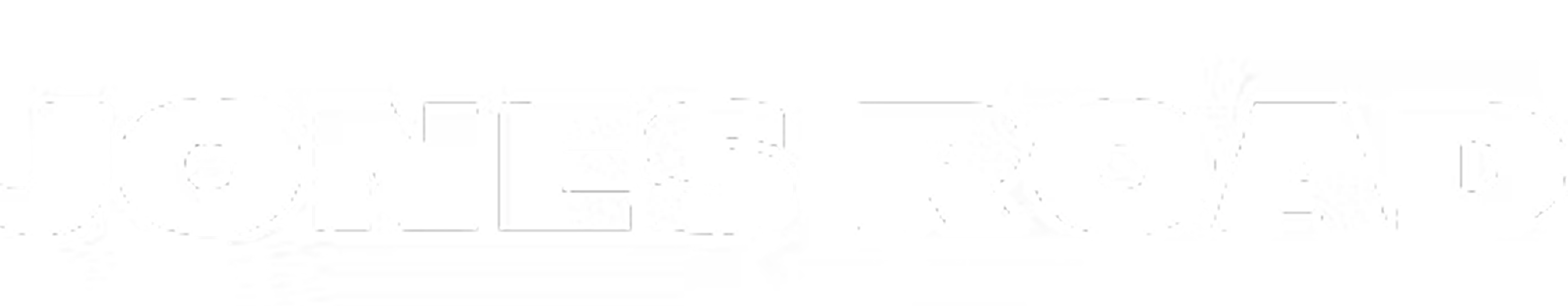Logo Polar