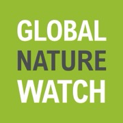 Logo Global Forest Watch