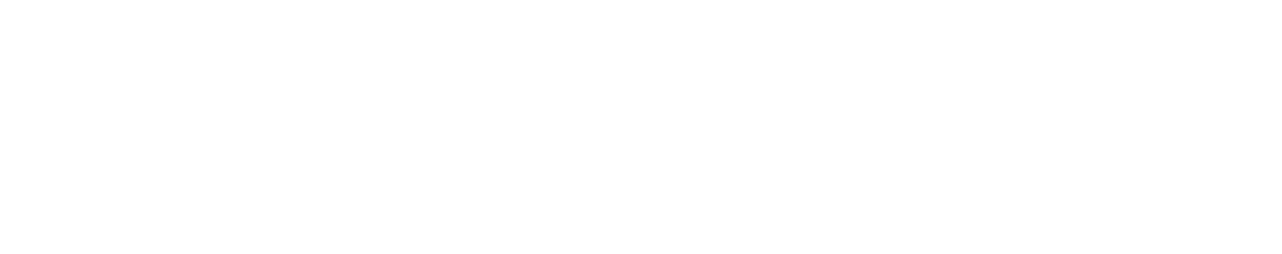 Logo N3