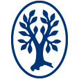 Icon Thieme
