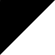 Icon Prosport