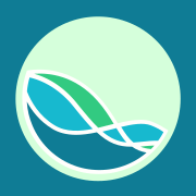 Icon Institute for Health Metrics and Evaluation