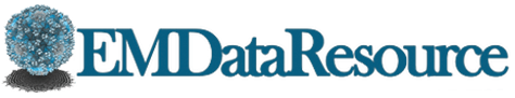 Logo Rcsb Pdb