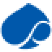 Icon Capgemini