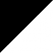 Icon Prosport