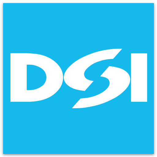 Icon DSI GmbH Daten Service Informationssysteme