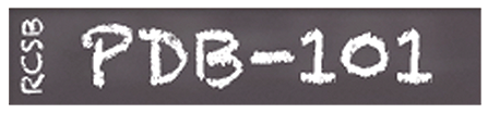 Logo Rcsb Pdb