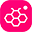 Icon Honista
