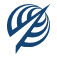 Icon AIAA