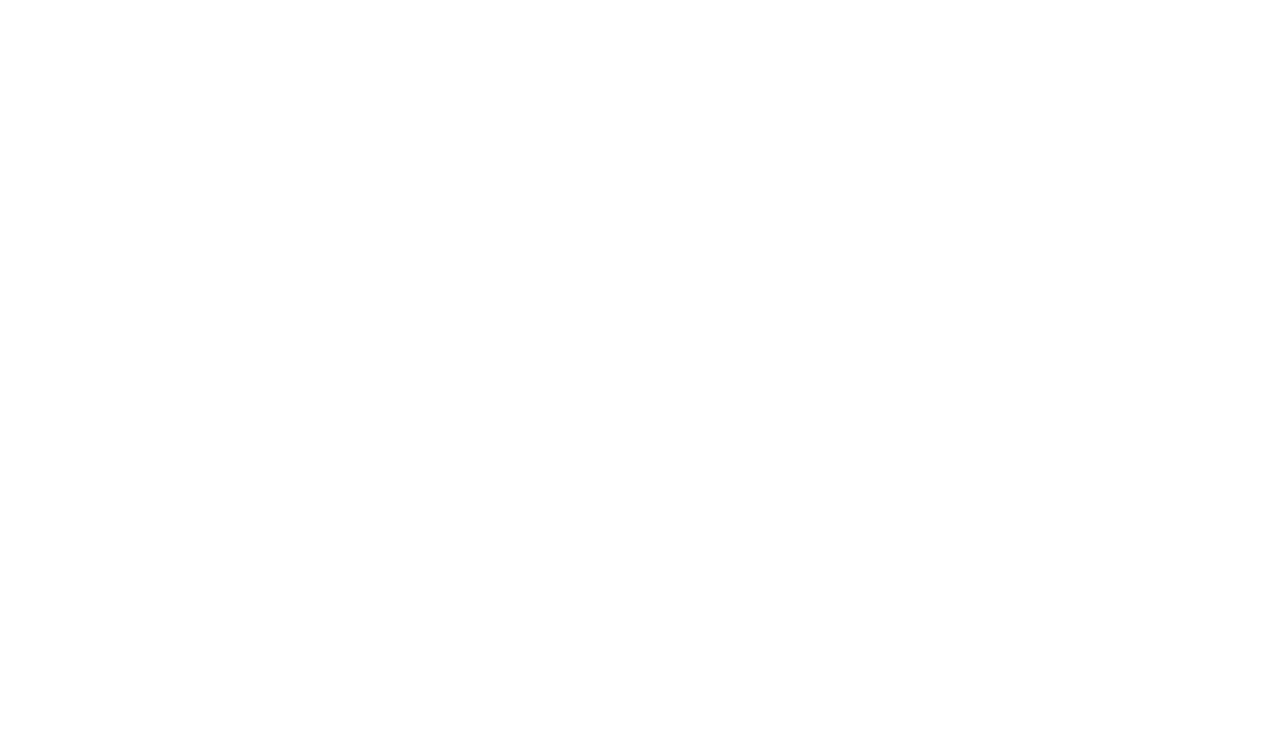 Logo Roland Berger