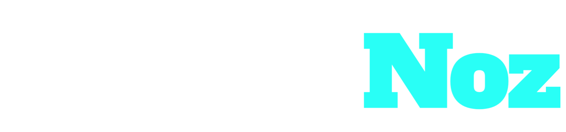 Logo BokepNoz