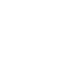 Logo BuddyNS: World's fastest-to-synchronize Secondary DNS service