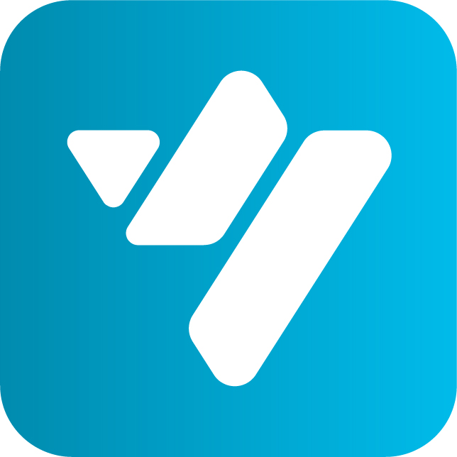 Logo Virtual Minds