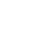 Icon Washington State University