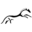 Icon Huerta de Albalá