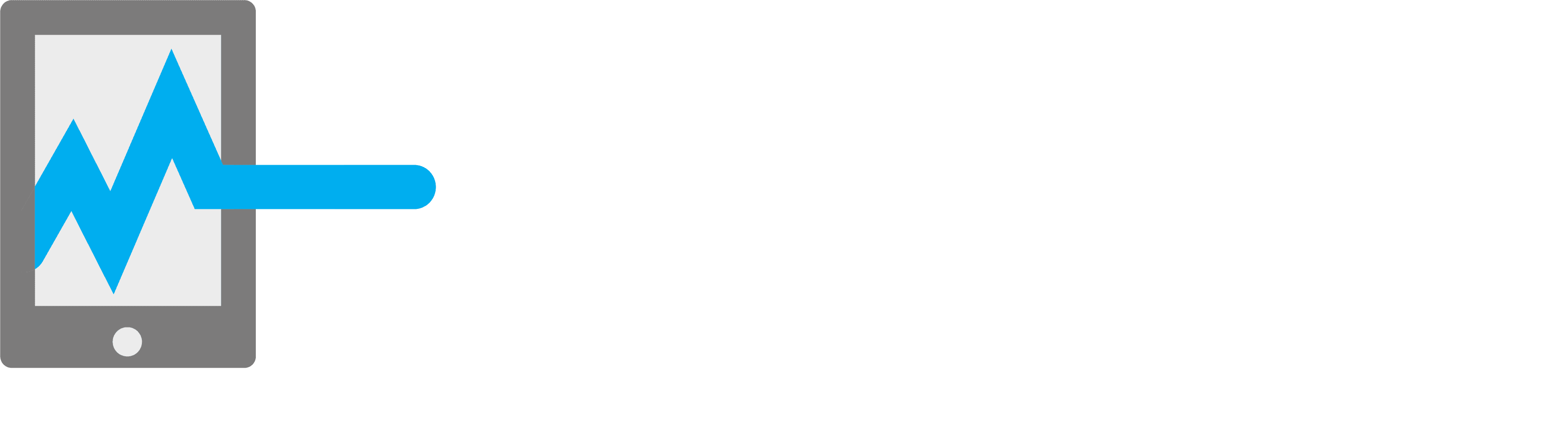 Logo Pulseway RMM Software