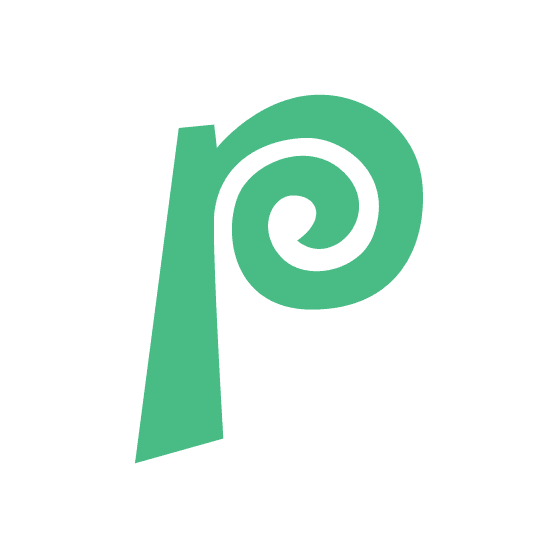 Icon Yupoo-pictures storage,data transfer,your picture cloud computing services manag