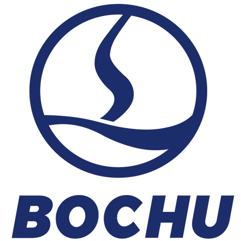 Icon Bochu