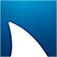 Icon Nova Southeastern University