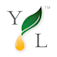 Icon Young Living