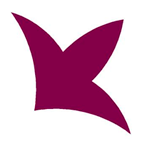 Icon UDL