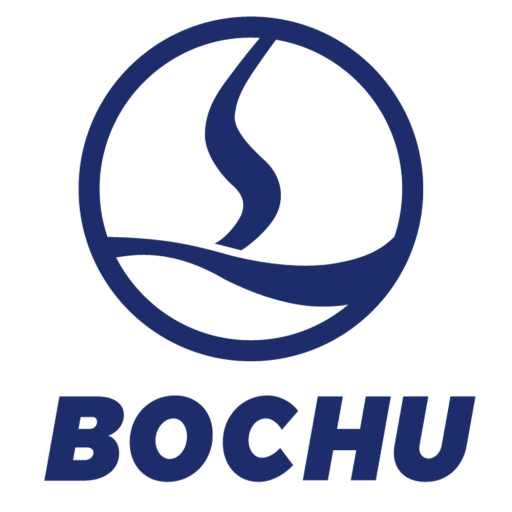 Icon Bochu